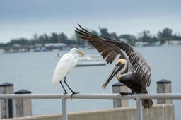 Anna Maria scenery
