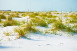 Holmes Beach scenery