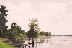 Thonotosassa scenery